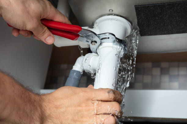 Best Flooded house restoration  in Horatio, AR