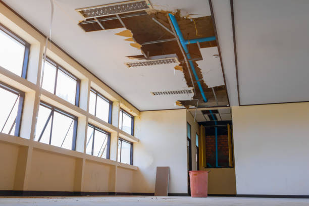 Best Commercial water damage restoration  in Horatio, AR