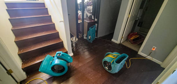 Best Water damage restoration near me  in Horatio, AR