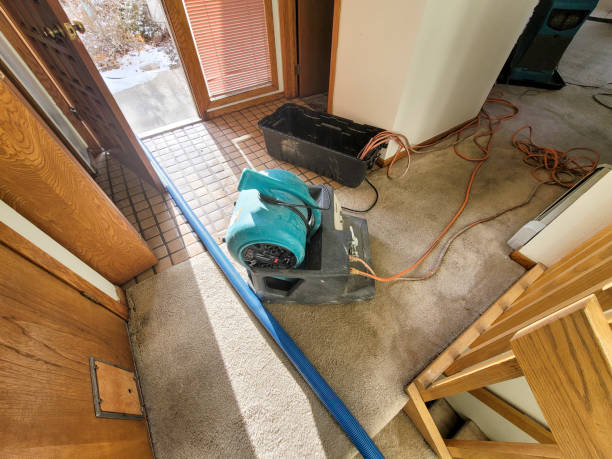 Best Water damage restoration insurance claims  in Horatio, AR