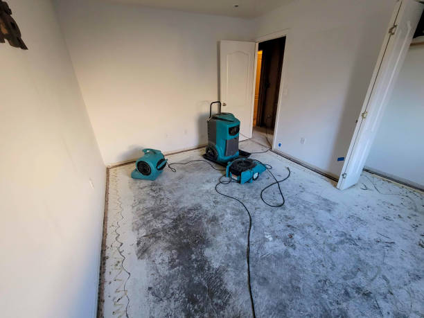 Water damage restoration insurance claims in AR
