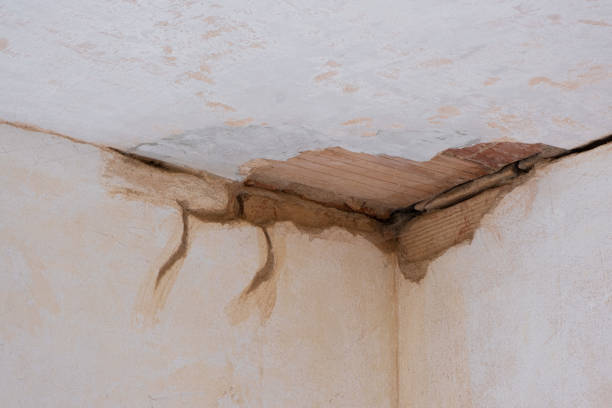 Best Residential water damage restoration  in Horatio, AR