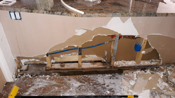 Best Emergency water damage restoration  in Horatio, AR