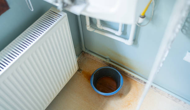 Best Carpet water damage restoration  in Horatio, AR