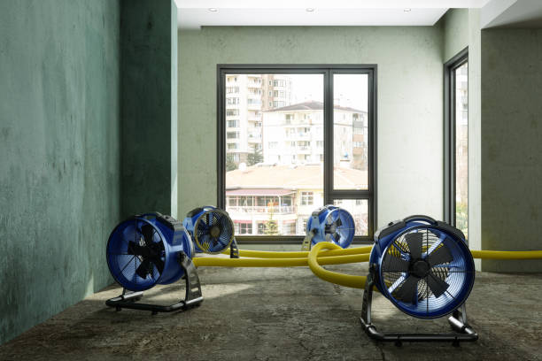 Best Water damage restoration near me  in Horatio, AR